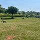 15 Clennon View
